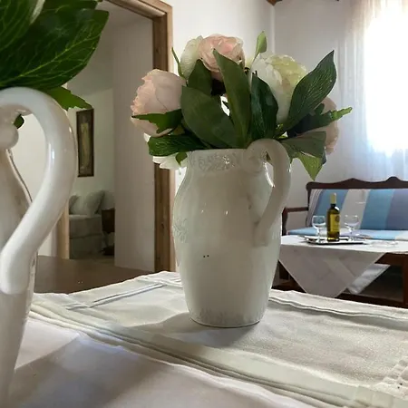Appartement Mama'sevdokia *